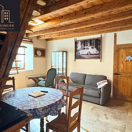 Apartment Spacious Duplex With Garden -